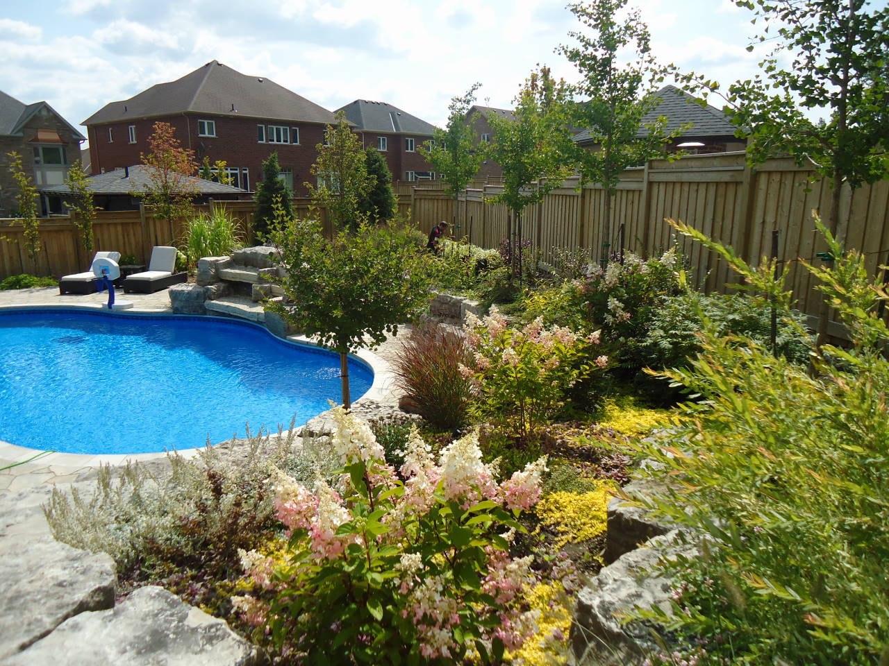 backyard landscape with a pool and lots of various types of plants