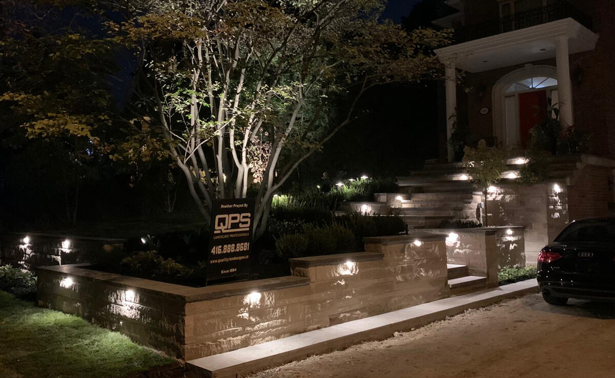 front driveway with a large tree lit up at night